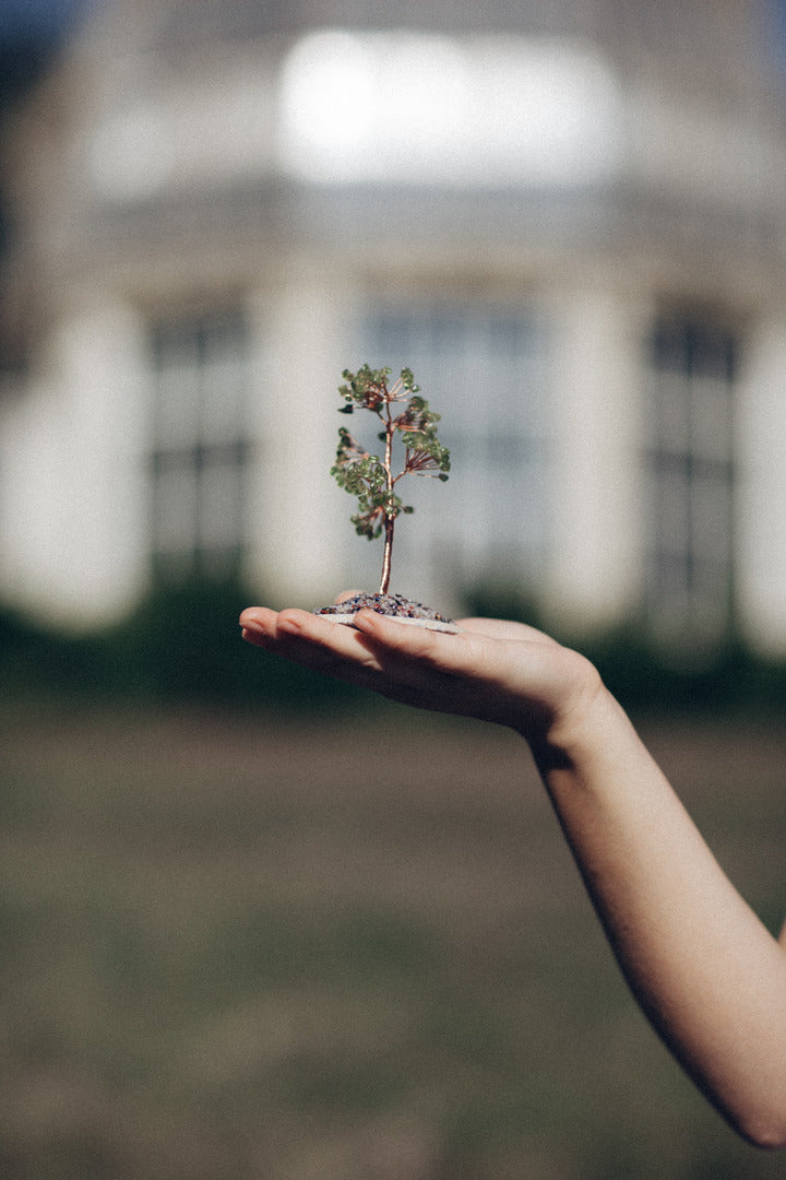 Positividad Y Significado -  Con Base Redonda Árbol De Cristal Feng Shui De Cuarzo Olivo