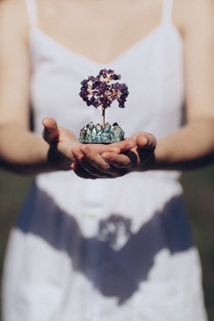 Paz Y Equilibrio - Árbol De Cristal Feng Shui De Amatista Con Base De Racimo