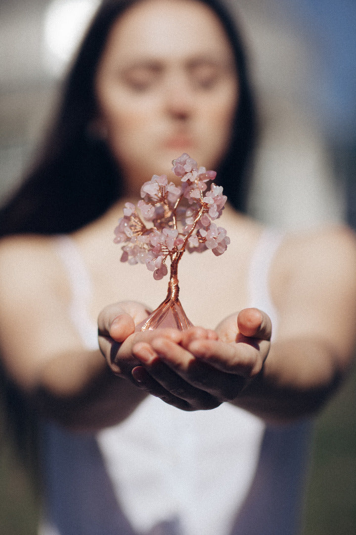 Cuarzo Rosa Con Base Piramidal De Amor Y Ternura - Arbol De Cristal Feng Shui