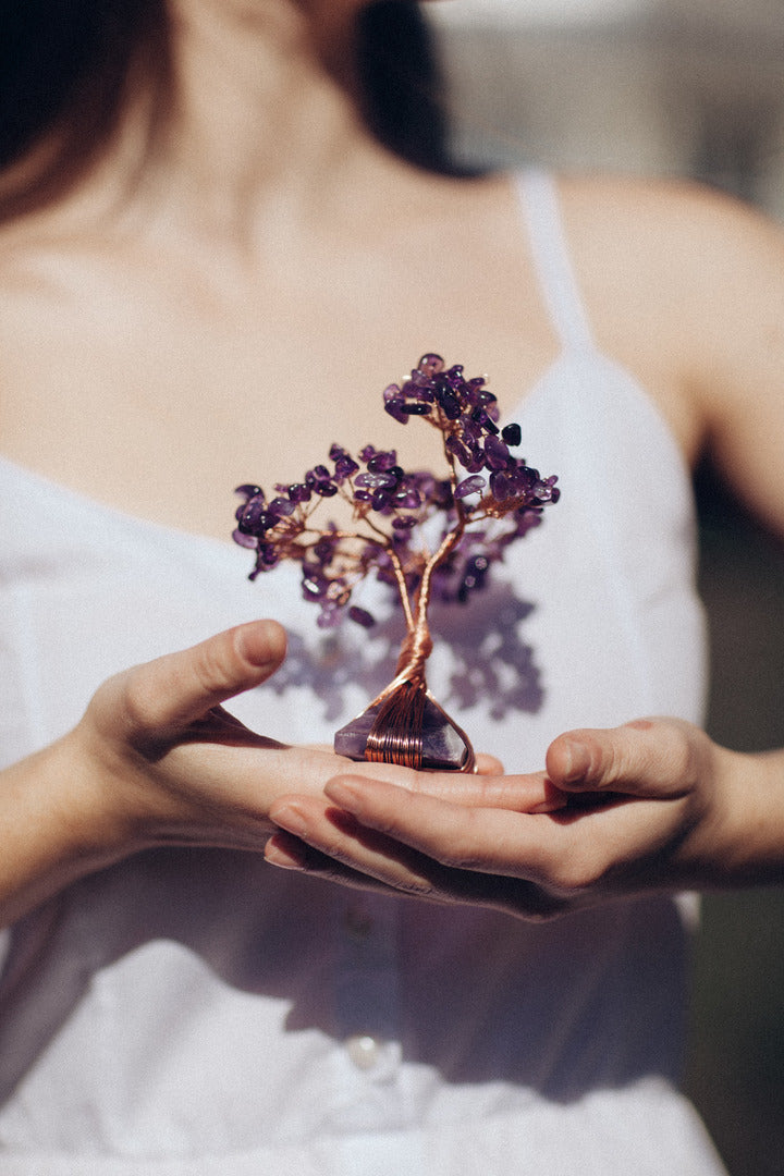 Paz Y Equilibrio - Árbol De Cristal Feng Shui De Amatista Con Base Piramidal